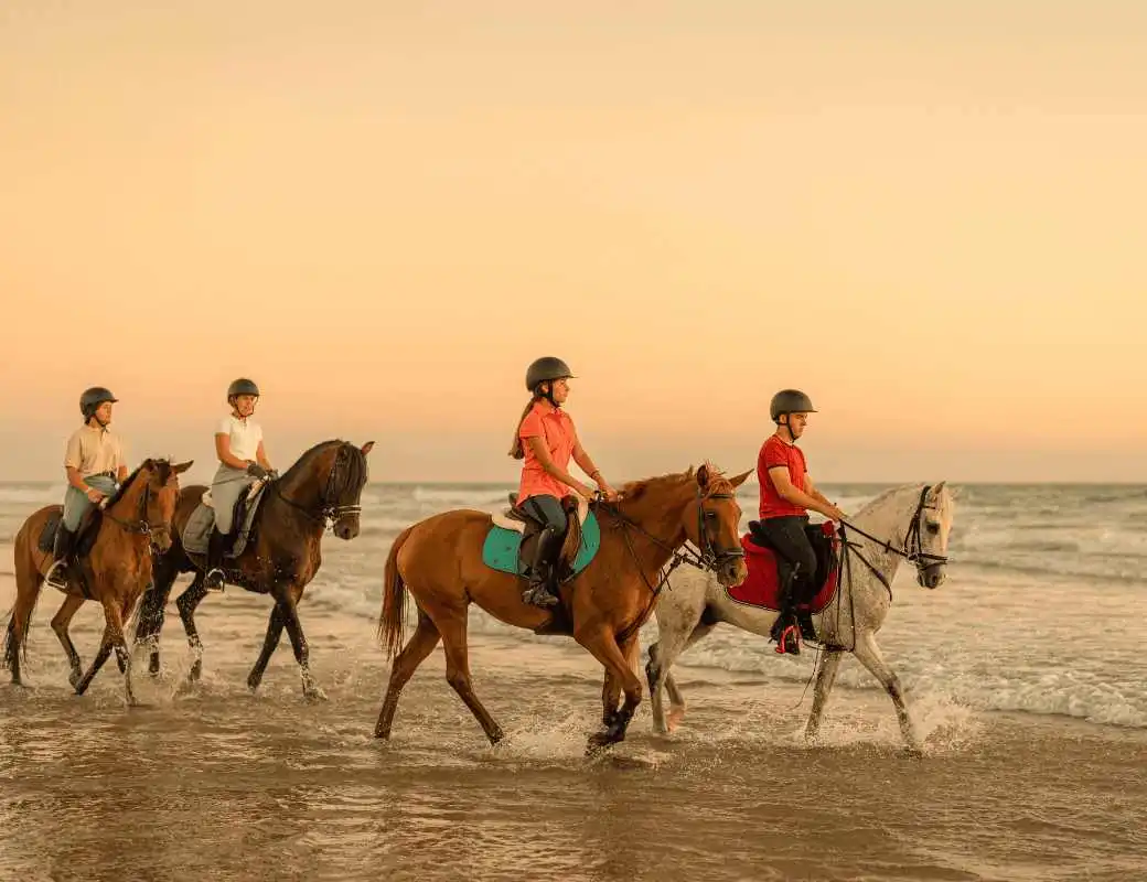 Pacific-Beach-Horseback-The-Cabos.webp